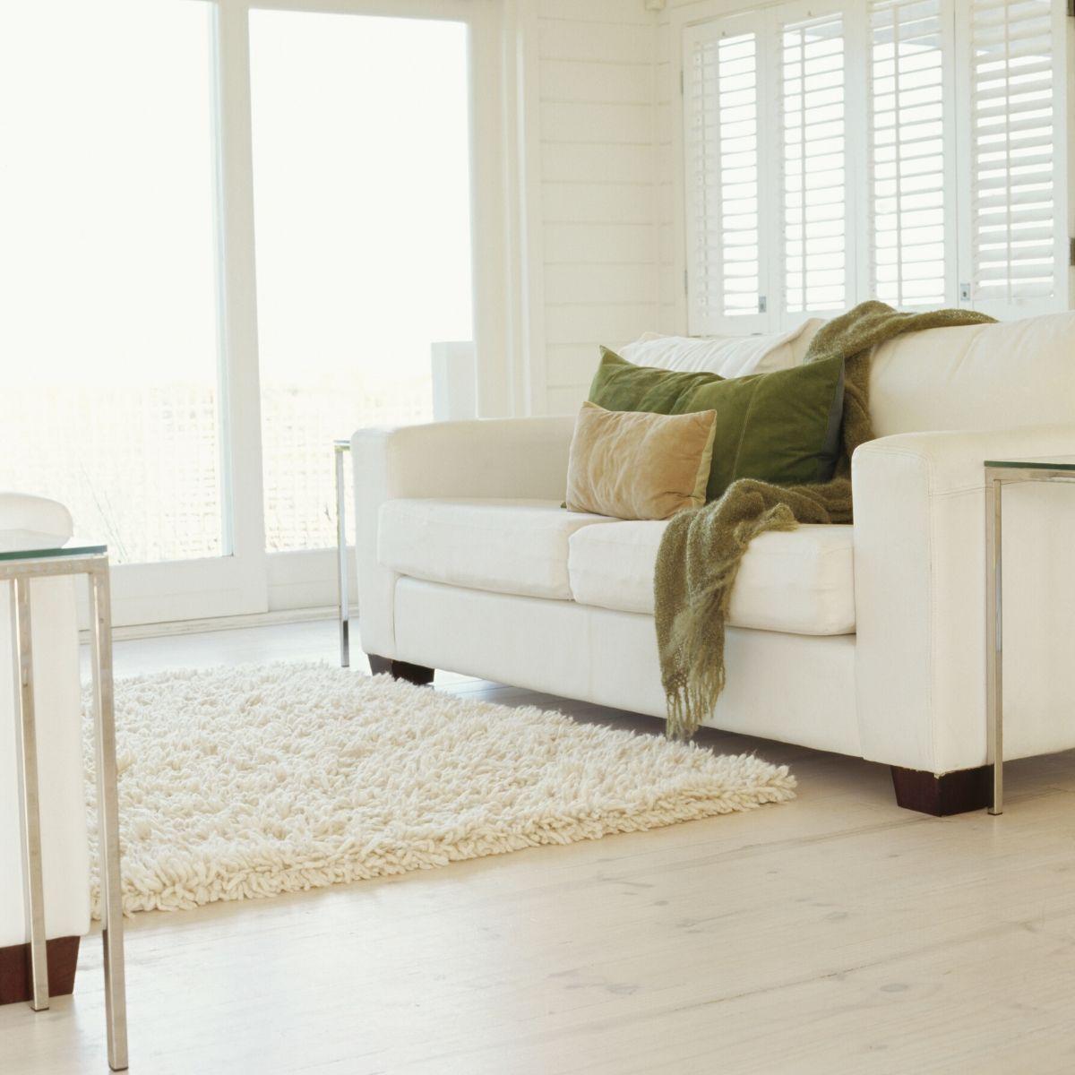Ivory Shag Area Rug