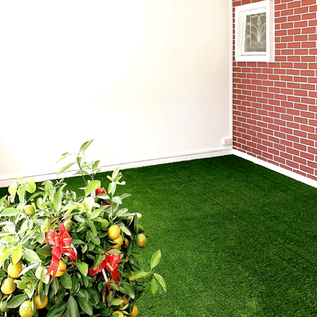Natural Green Turf Carpet