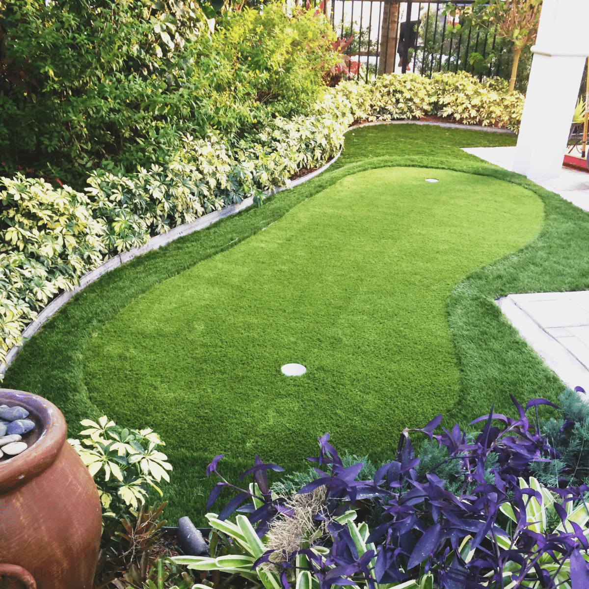 Sports And Landscape Grass