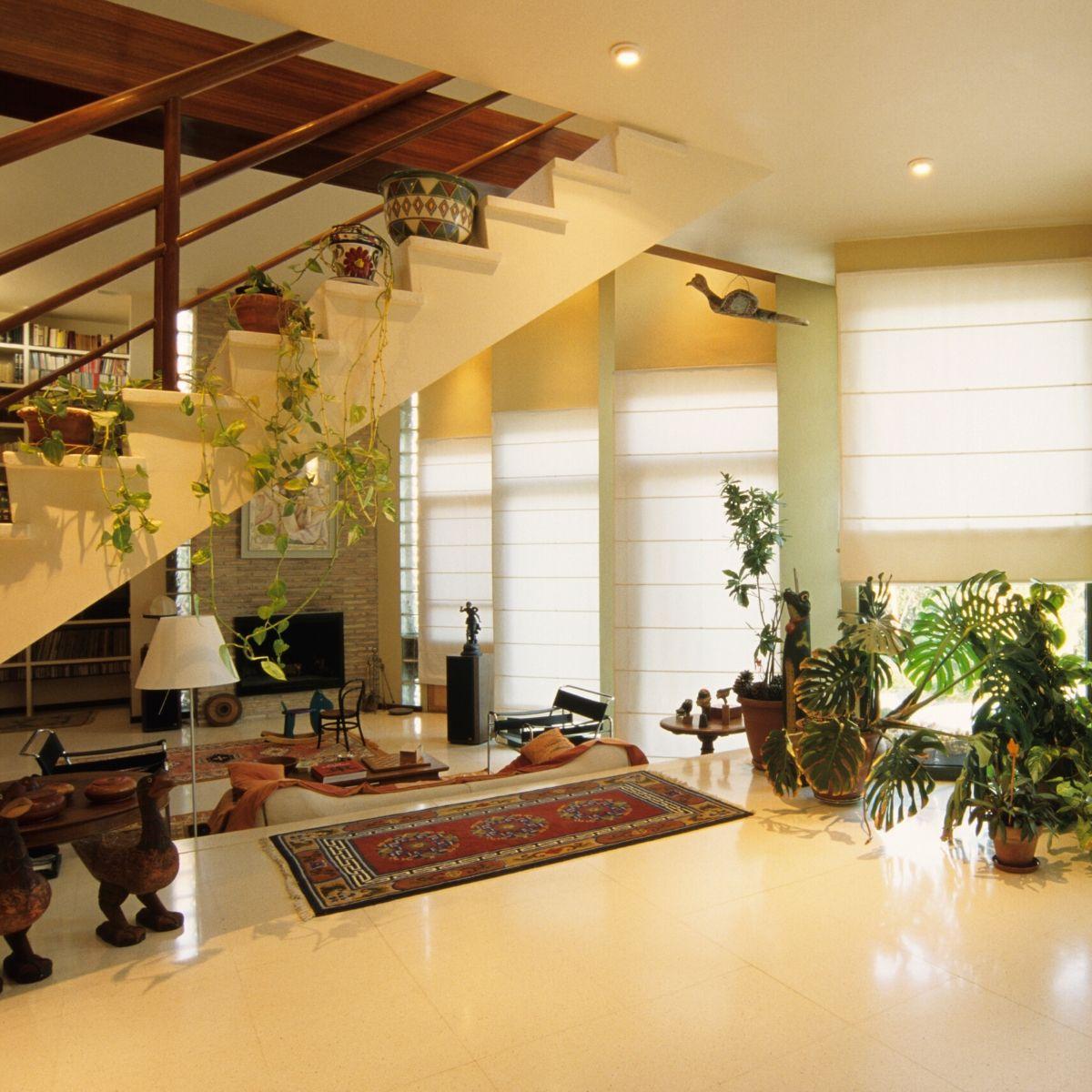 Traditional Oriental Statement Rug
