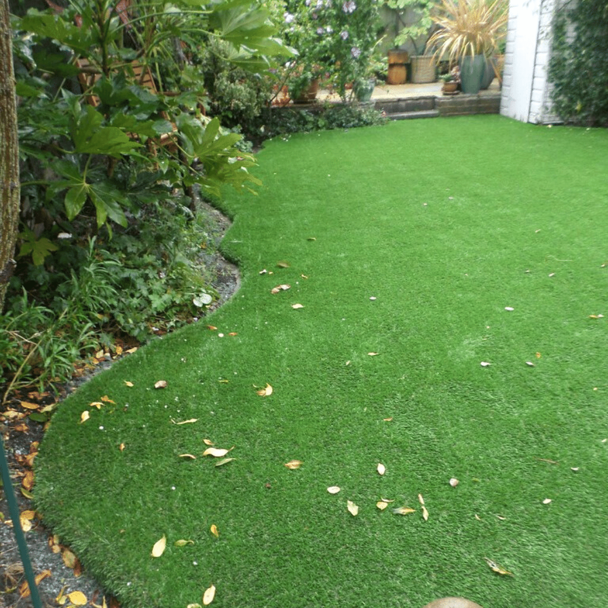 Year Round Green Lawn Grass