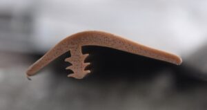 T – Connector (Rubber)