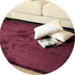 Home Carpet Cleaning