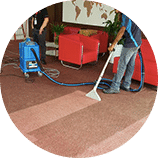 Eco Carpet Cleaning