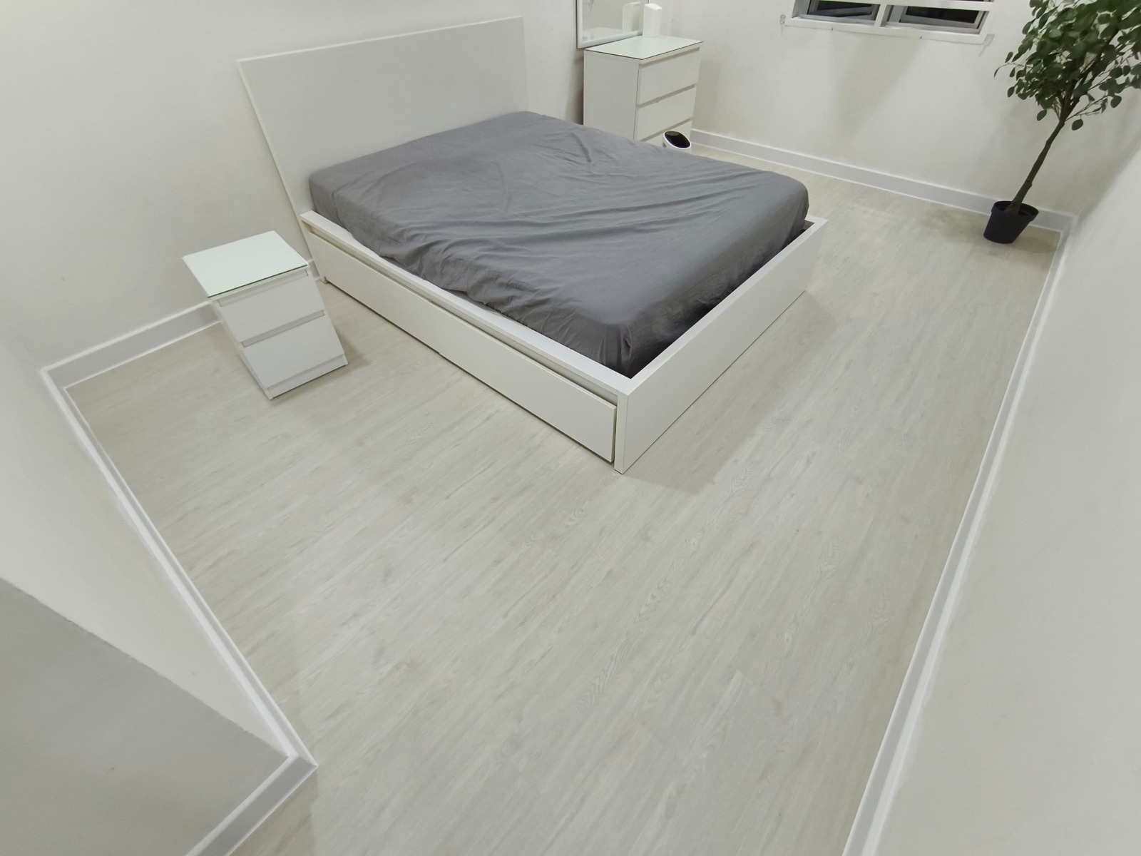 BLEACHED PINE WOOD